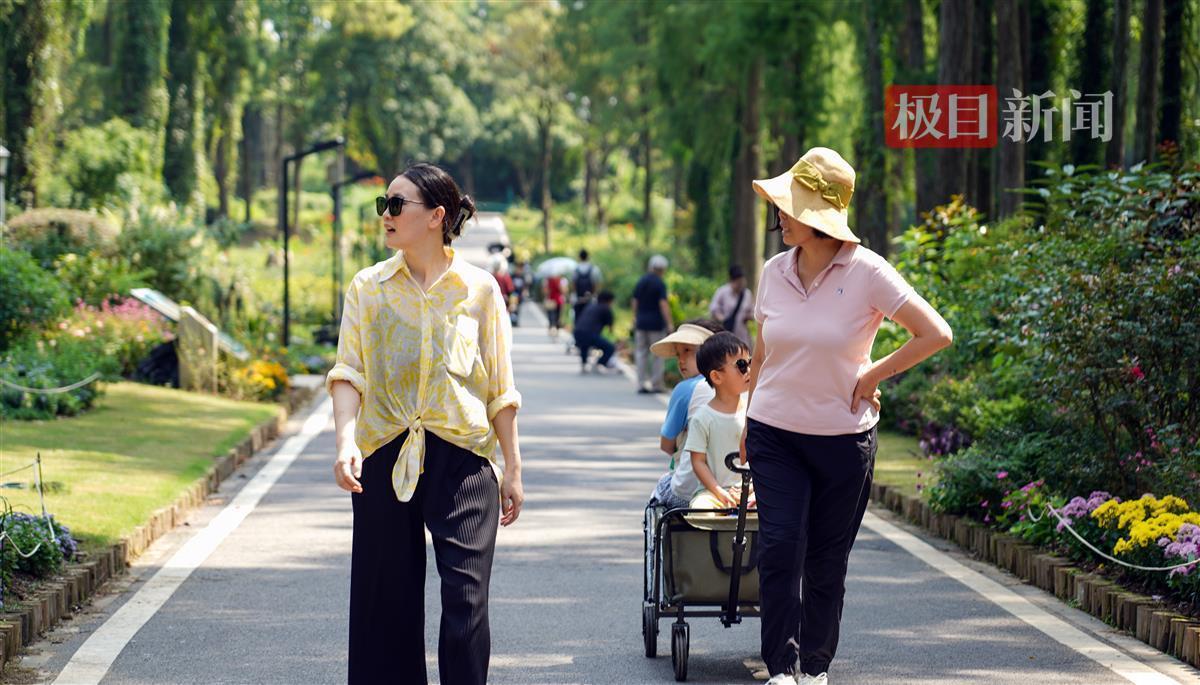 98娱乐网手机登录